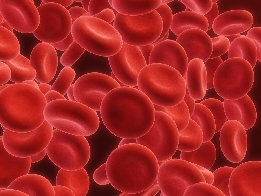 Red Blood Cells
