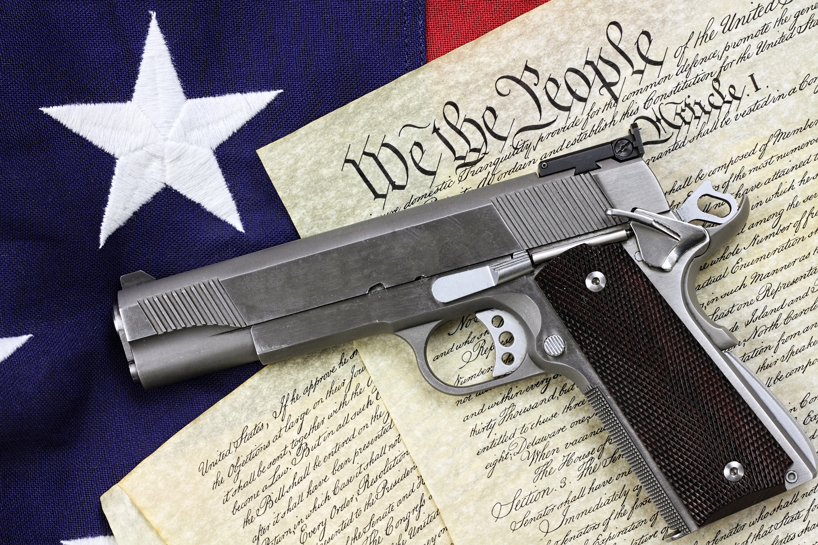 Gun Rights Gun Rights