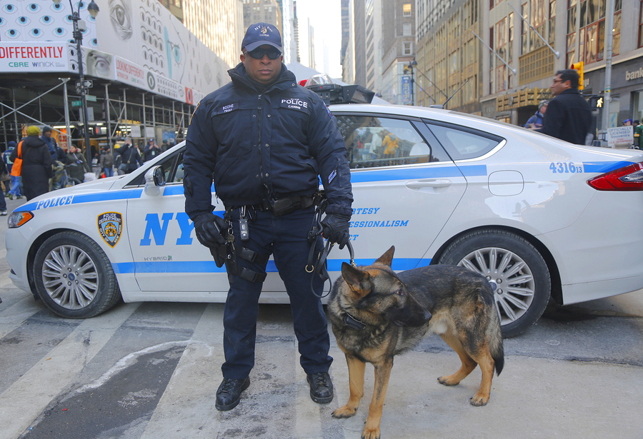 NYPD transit bureau K-9 police officer and K-9 German Shepherd p NYPD transit bureau K-9 police officer and K-9 German Shepherd p