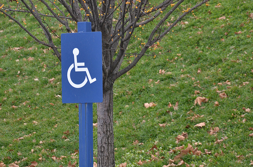 handicapped handicapped