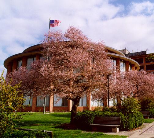 Bucks County Courthouse. Image from www.buckscounty.org Bucks County Courthouse. Image from www.buckscounty.org